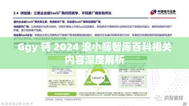 Ggy 钙 2024 浪小辉智库百科相关内容深度解析