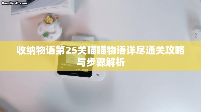 收纳物语第25关喵喵物语详尽通关攻略与步骤解析