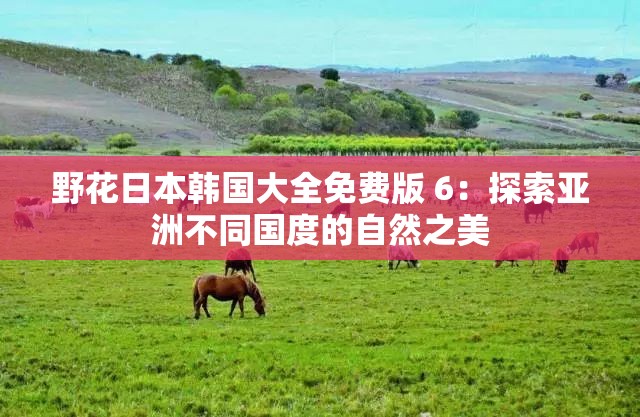 野花日本韩国大全免费版 6：探索亚洲不同国度的自然之美
