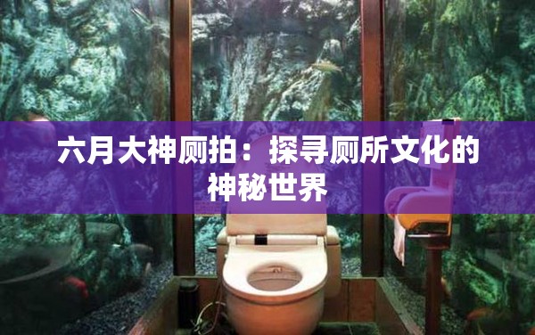 六月大神厕拍：探寻厕所文化的神秘世界