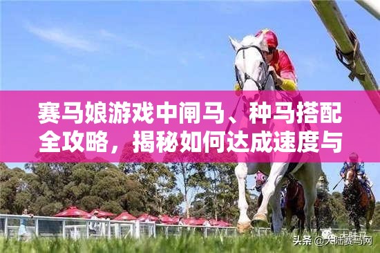 赛马娘游戏中闸马、种马搭配全攻略，揭秘如何达成速度与耐力的极致平衡