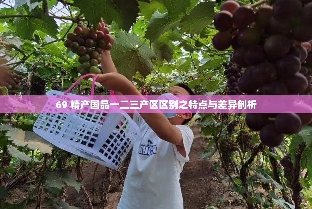 69 精产国品一二三产区区别之特点与差异剖析