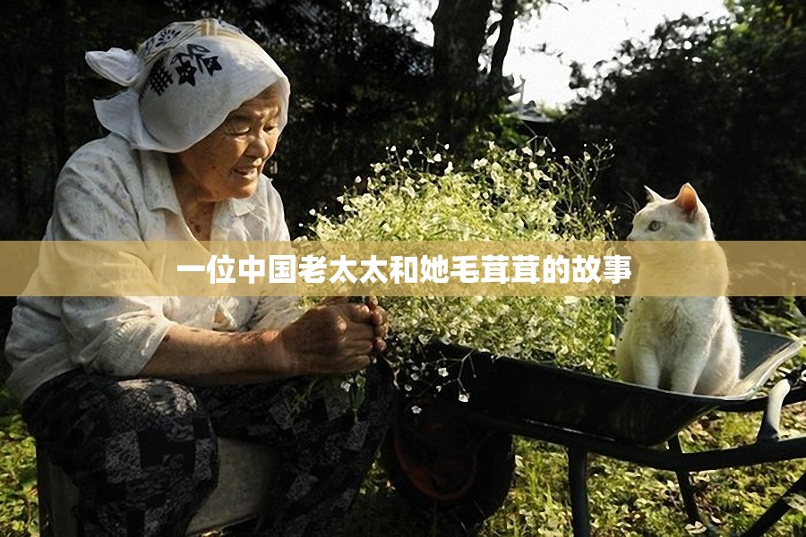一位中国老太太和她毛茸茸的故事