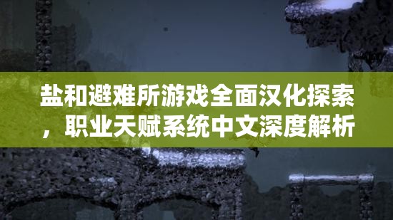 盐和避难所游戏全面汉化探索，职业天赋系统中文深度解析与揭秘