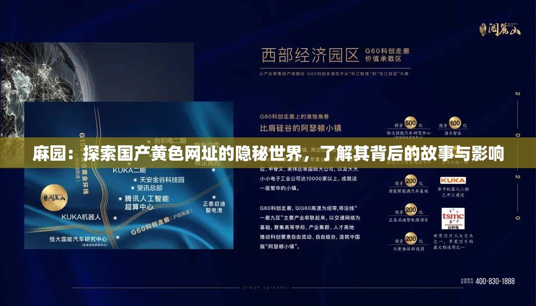 麻园：探索国产黄色网址的隐秘世界，了解其背后的故事与影响