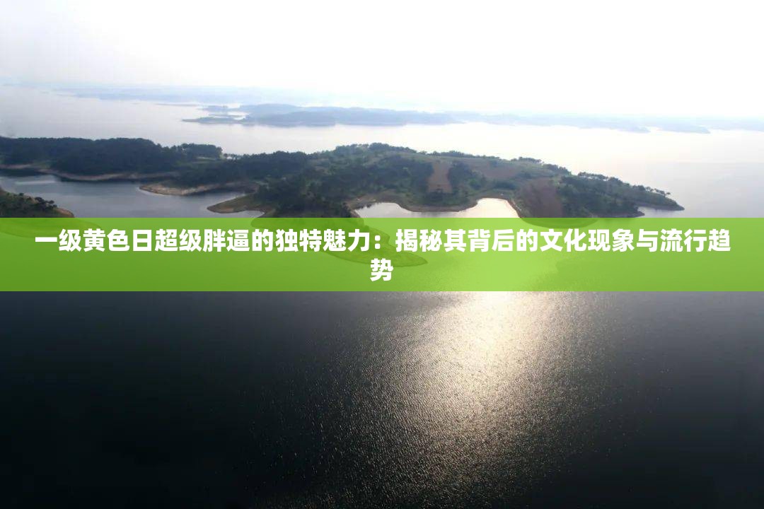 一级黄色日超级胖逼的独特魅力：揭秘其背后的文化现象与流行趋势