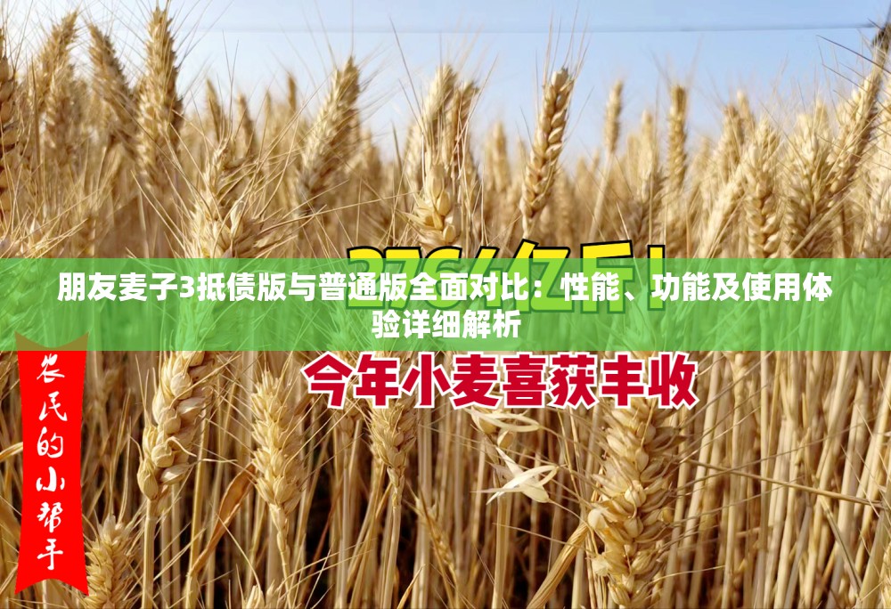 朋友麦子3抵债版与普通版全面对比：性能、功能及使用体验详细解析