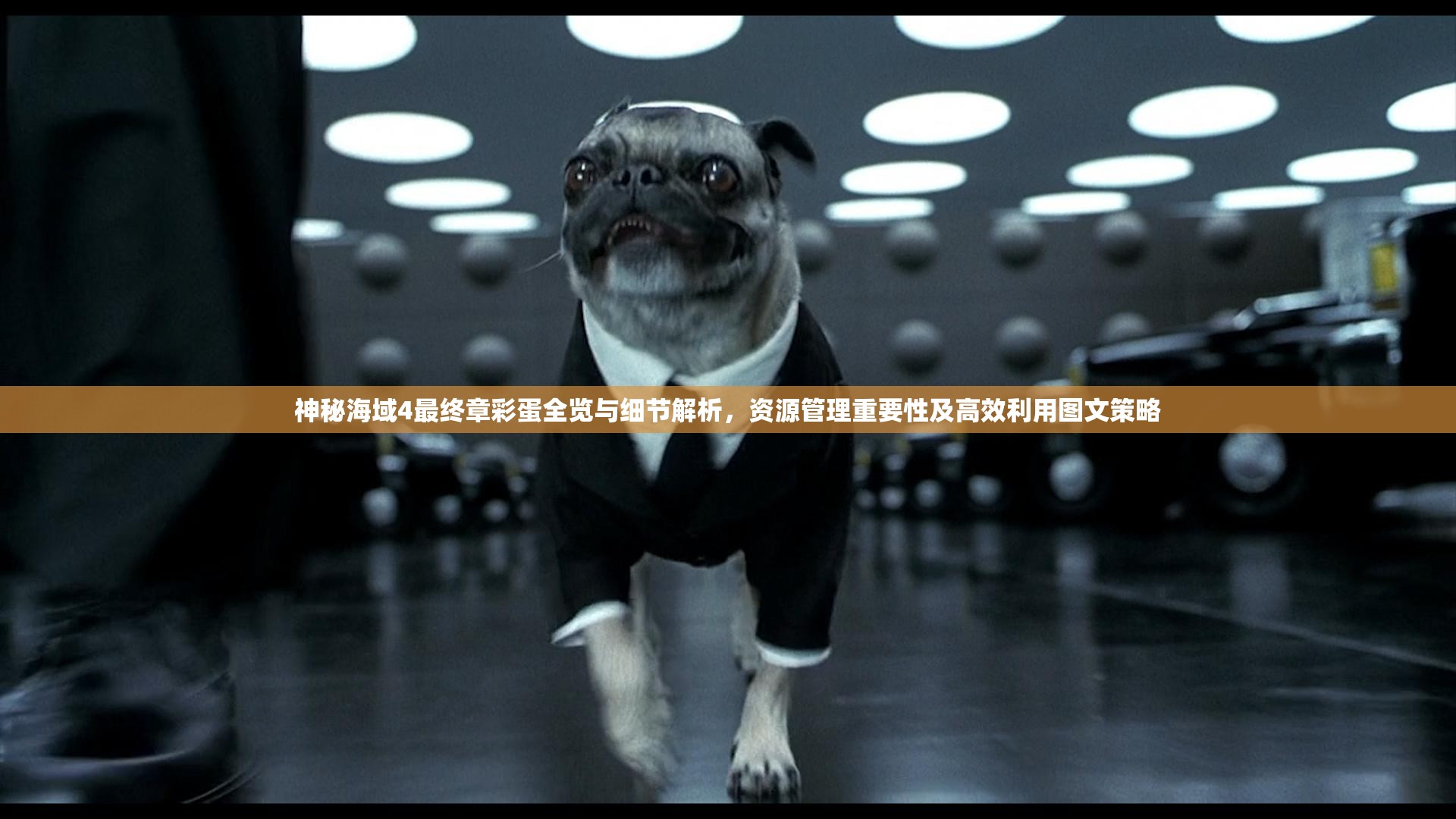 神秘海域4最终章彩蛋全览与细节解析，资源管理重要性及高效利用图文策略