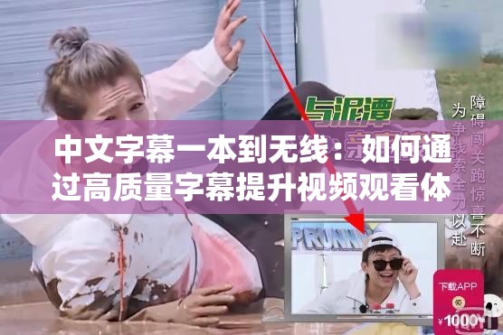 中文字幕一本到无线：如何通过高质量字幕提升视频观看体验与用户粘性？