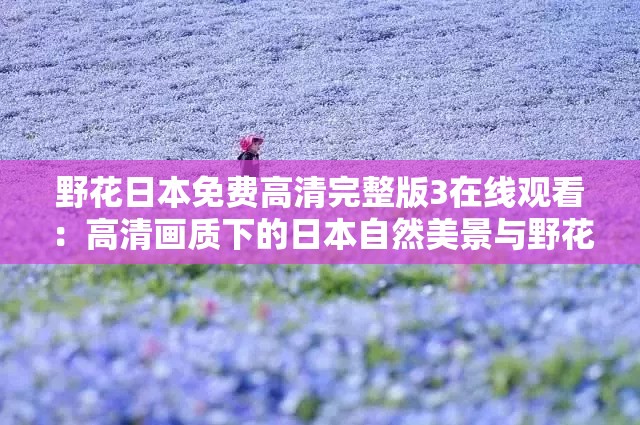 野花日本免费高清完整版3在线观看：高清画质下的日本自然美景与野花盛放