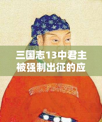 三国志13中君主被强制出征的应对策略，资源管理的重要性及实用解决办法一览
