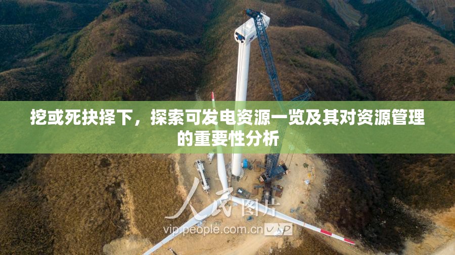 挖或死抉择下，探索可发电资源一览及其对资源管理的重要性分析