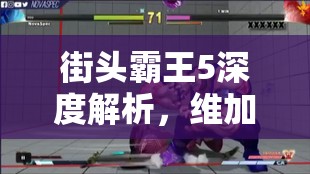 街头霸王5深度解析，维加投技与正逆择技巧实战运用指南