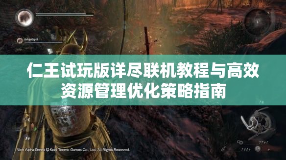 仁王试玩版详尽联机教程与高效资源管理优化策略指南
