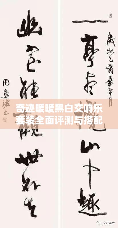 奇迹暖暖黑白交响乐套装全面评测与搭配攻略解析