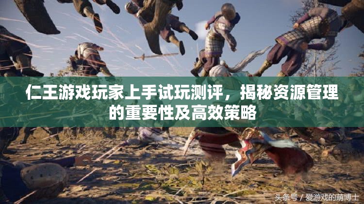 仁王游戏玩家上手试玩测评，揭秘资源管理的重要性及高效策略