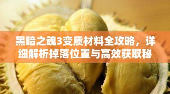 黑暗之魂3变质材料全攻略，详细解析掉落位置与高效获取秘籍