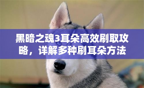 黑暗之魂3耳朵高效刷取攻略，详解多种刷耳朵方法及技巧心得