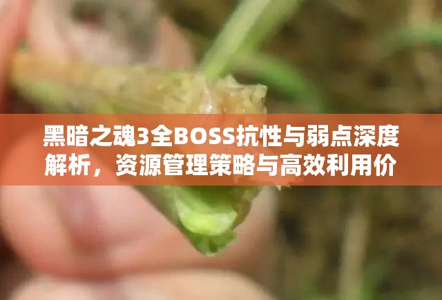 黑暗之魂3全BOSS抗性与弱点深度解析，资源管理策略与高效利用价值最大化指南
