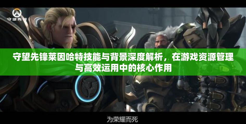 守望先锋莱因哈特技能与背景深度解析，在游戏资源管理与高效运用中的核心作用