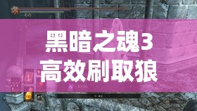 黑暗之魂3高效刷取狼血剑草攻略，资源管理策略与刷怪位置详解
