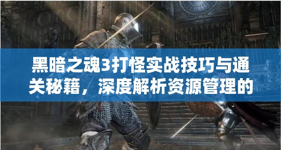 黑暗之魂3打怪实战技巧与通关秘籍，深度解析资源管理的艺术