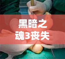 黑暗之魂3丧失石高效获取攻略及游戏中资源管理策略探讨