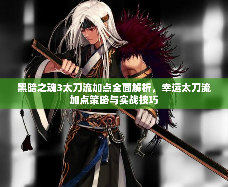 黑暗之魂3太刀流加点全面解析，幸运太刀流加点策略与实战技巧