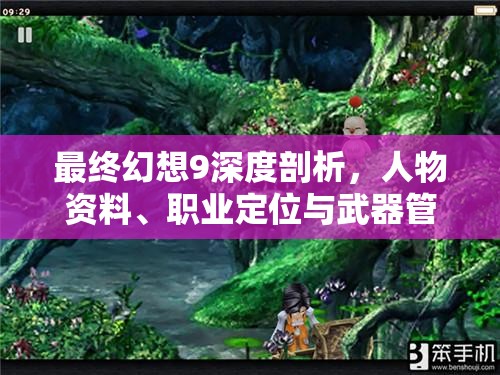 最终幻想9深度剖析，人物资料、职业定位与武器管理全解析