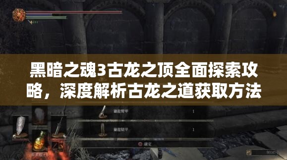 黑暗之魂3古龙之顶全面探索攻略，深度解析古龙之道获取方法与技巧