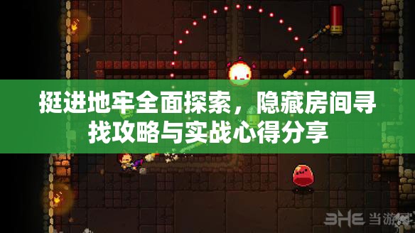 挺进地牢全面探索，隐藏房间寻找攻略与实战心得分享