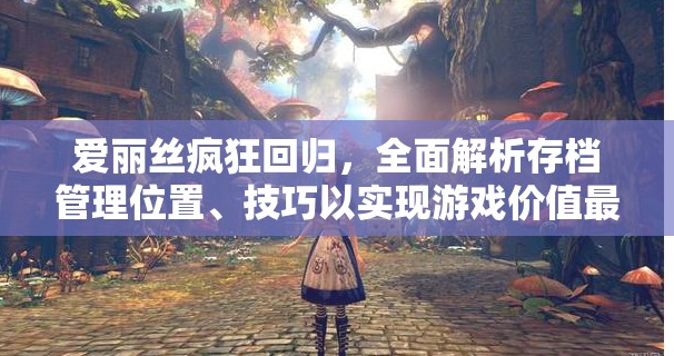爱丽丝疯狂回归，全面解析存档管理位置、技巧以实现游戏价值最大化