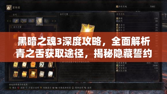 黑暗之魂3深度攻略，全面解析青之舌获取途径，揭秘隐藏誓约解锁秘密