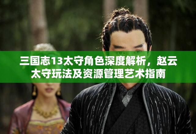 三国志13太守角色深度解析，赵云太守玩法及资源管理艺术指南