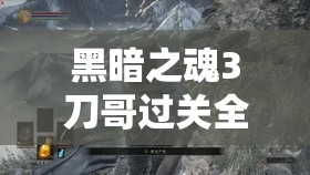 黑暗之魂3刀哥过关全攻略，多种打法技巧助你轻松击败刀哥