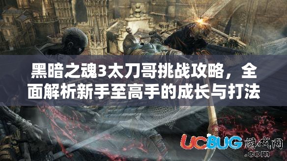 黑暗之魂3太刀哥挑战攻略，全面解析新手至高手的成长与打法技巧