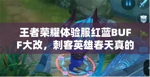 王者荣耀体验服红蓝BUFF大改，刺客英雄春天真的来了吗？