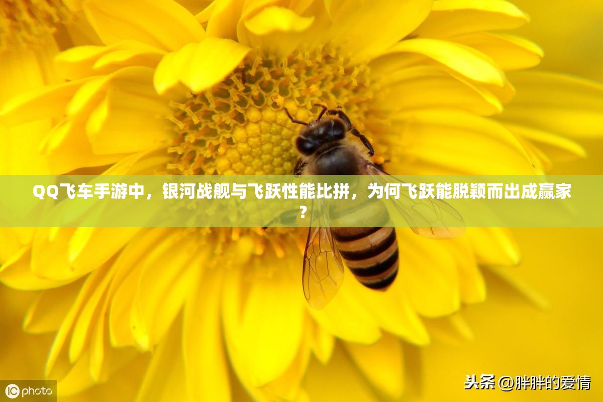 QQ飞车手游中，银河战舰与飞跃性能比拼，为何飞跃能脱颖而出成赢家？