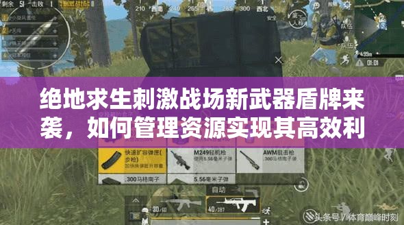 绝地求生刺激战场新武器盾牌来袭，如何管理资源实现其高效利用与价值最大化？