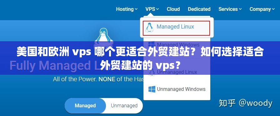 美国和欧洲 vps 哪个更适合外贸建站？如何选择适合外贸建站的 vps？