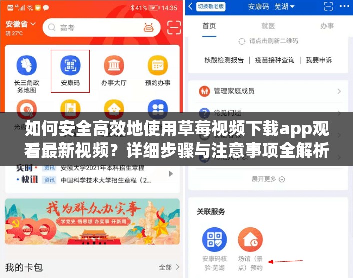 如何安全高效地使用草莓视频下载app观看最新视频？详细步骤与注意事项全解析