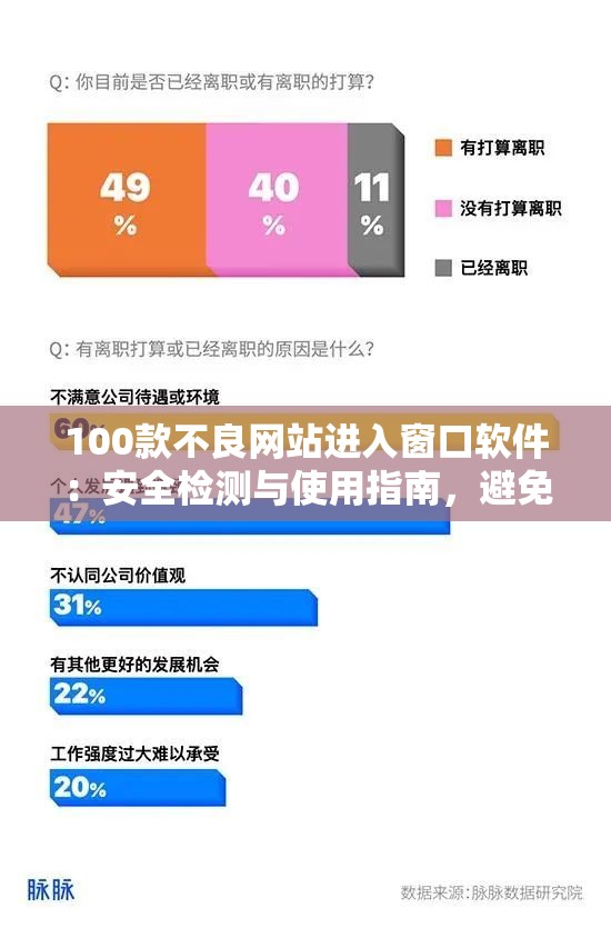 100款不良网站进入窗口软件：安全检测与使用指南，避免网络风险与隐私泄露问题