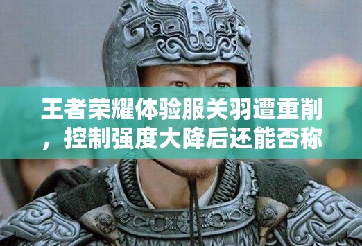 王者荣耀体验服关羽遭重削，控制强度大降后还能否称霸战场？