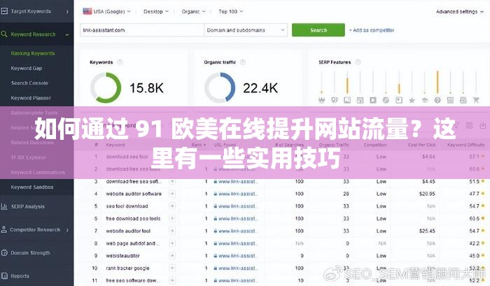如何通过 91 欧美在线提升网站流量？这里有一些实用技巧