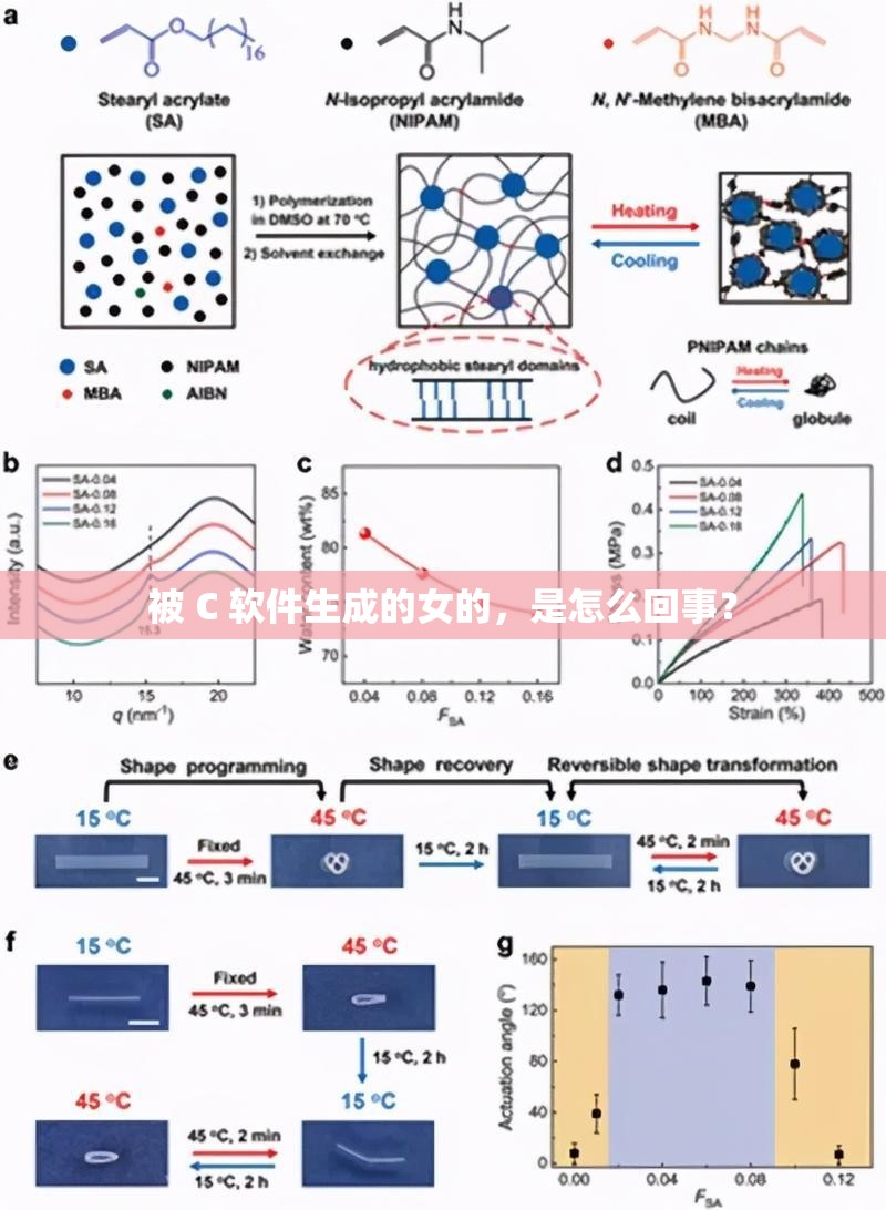 被 C 软件生成的女的，是怎么回事？