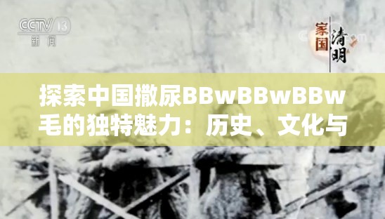 探索中国撒尿BBwBBwBBw毛的独特魅力：历史、文化与现代应用全解析