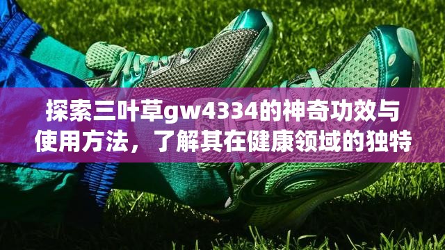 探索三叶草gw4334的神奇功效与使用方法，了解其在健康领域的独特优势