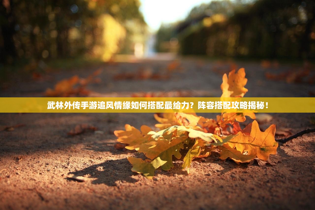 武林外传手游追风情缘如何搭配最给力？阵容搭配攻略揭秘！