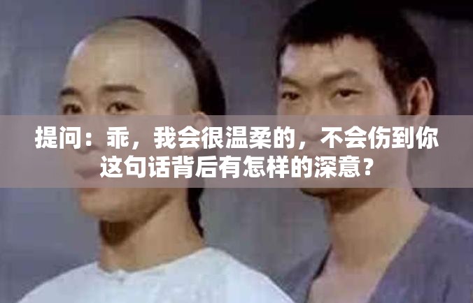 提问：乖，我会很温柔的，不会伤到你这句话背后有怎样的深意？