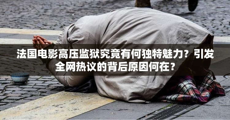 法国电影高压监狱究竟有何独特魅力？引发全网热议的背后原因何在？